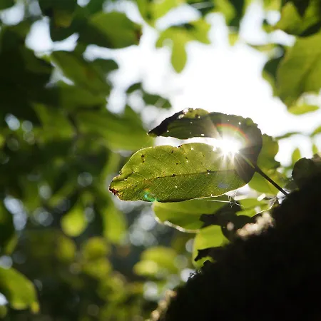 Douro فندق ريبا دورو
