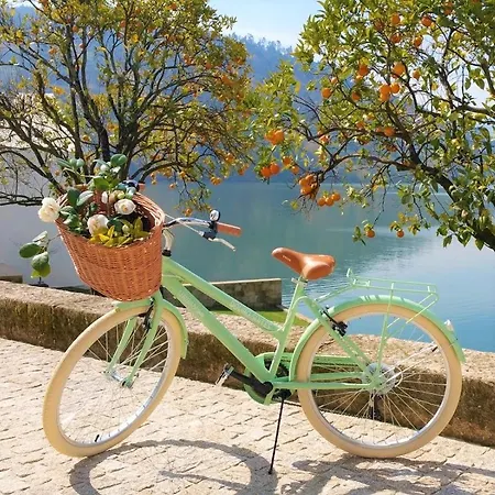 Douro ريبا دورو