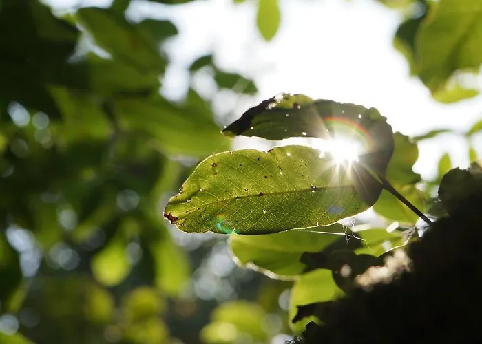 Douro Hotell Ribadouro