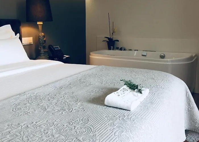 Hotel Douro Ribadouro